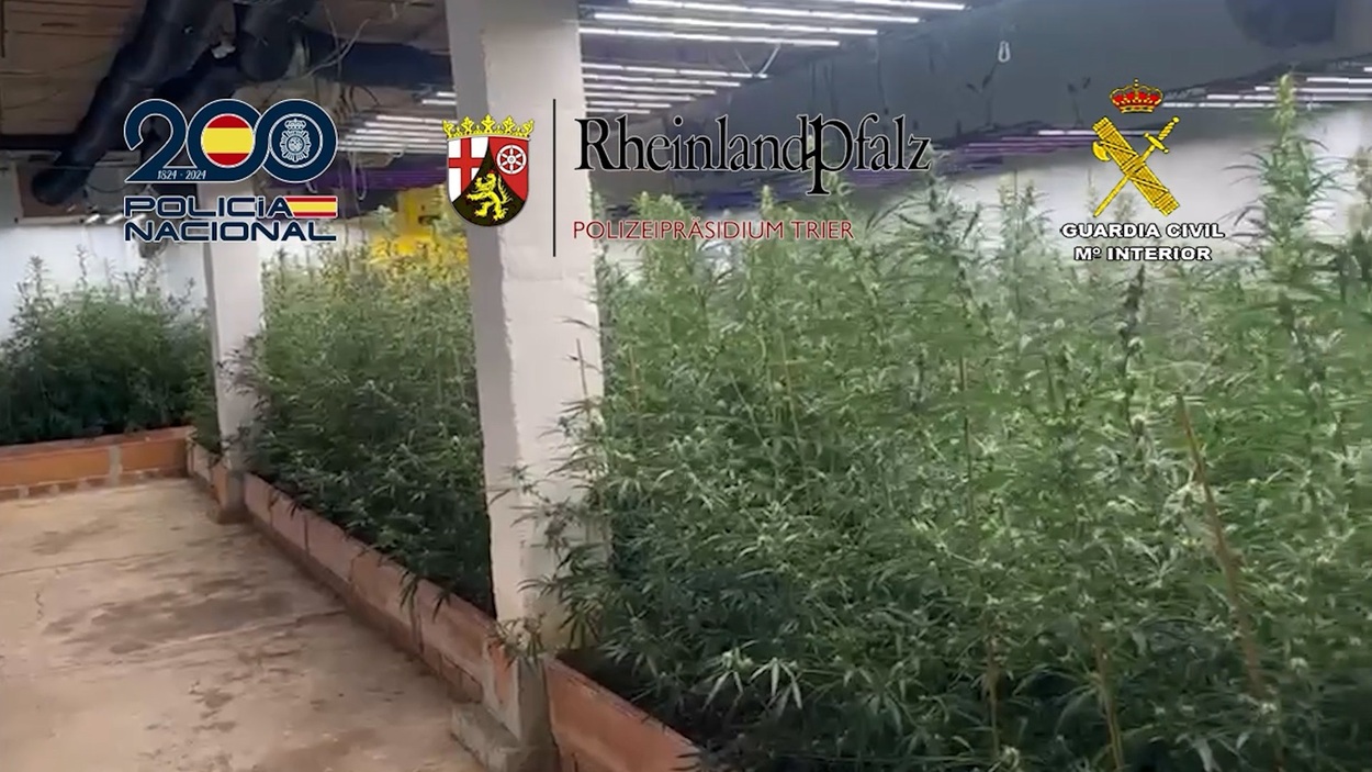 Doce detenidos por tráfico de anfetaminas, marihuana y hachís entre Málaga y Alemania. EP