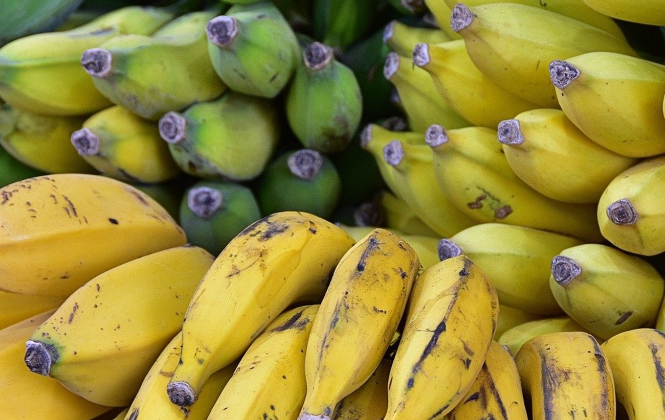 La Policía incauta 670 kilos de cocaína ocultos entre fruta en Estepona